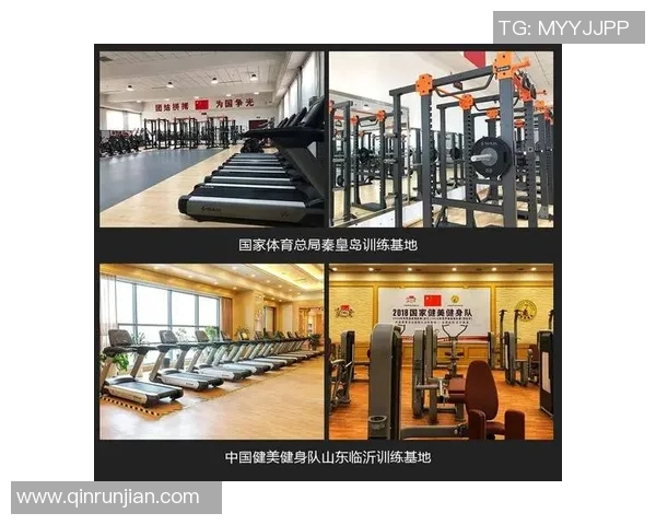 成都排球队战术解析与发展策略探讨助力球队提升竞技水平