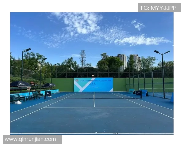 成都网球队在冠军赛中的技术表现分析与点评 成都网球队在冠军赛中的技术表现分析与点评