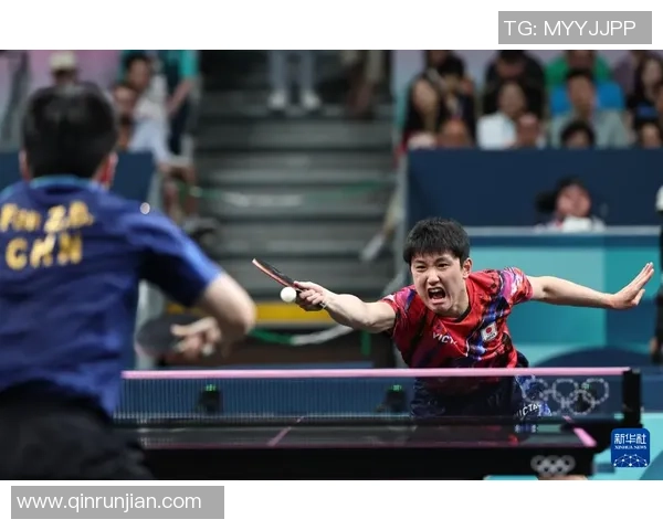 深圳乒乓球队逆袭之路的真实记录与奋斗精神的展现 深圳乒乓球队逆袭之路的真实记录与奋斗精神的展现