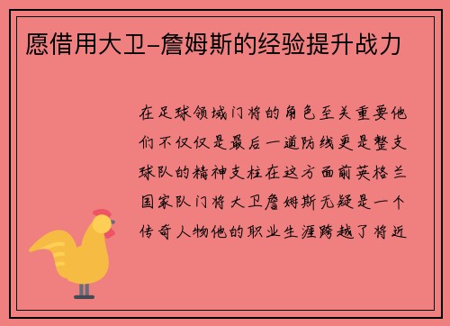 愿借用大卫-詹姆斯的经验提升战力